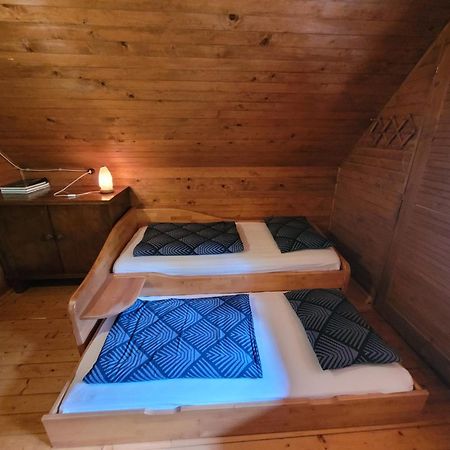 Pocitniska Hisa Radovna Villa Zgornja Radovna Екстериор снимка