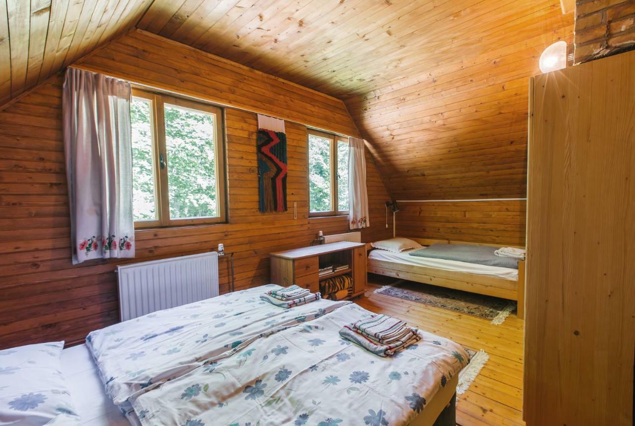 Pocitniska Hisa Radovna Villa Zgornja Radovna Екстериор снимка