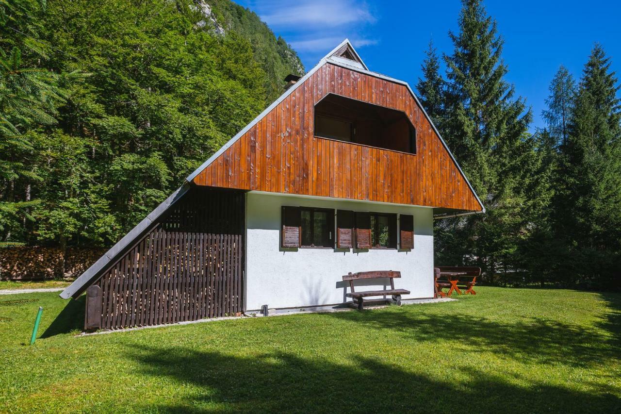 Pocitniska Hisa Radovna Villa Zgornja Radovna Екстериор снимка