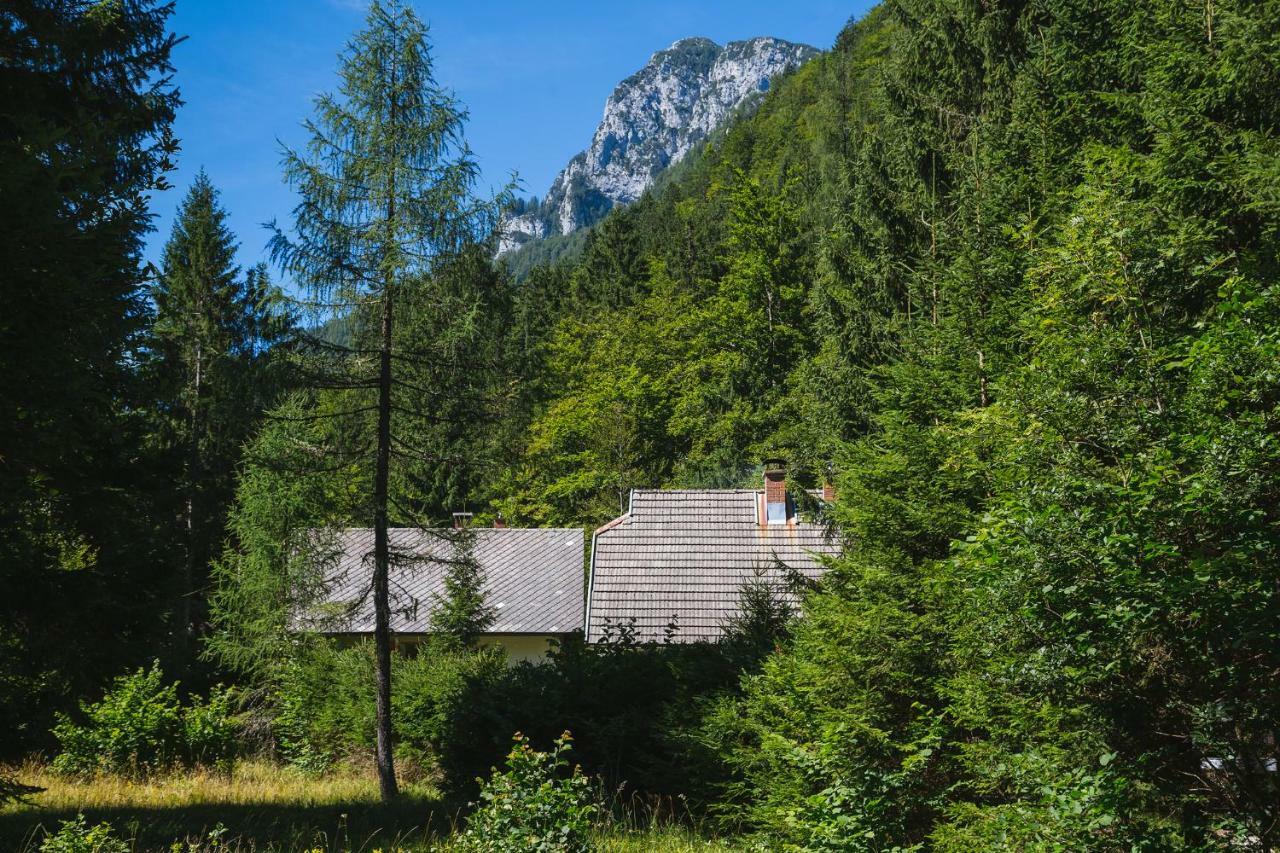 Pocitniska Hisa Radovna Villa Zgornja Radovna Екстериор снимка